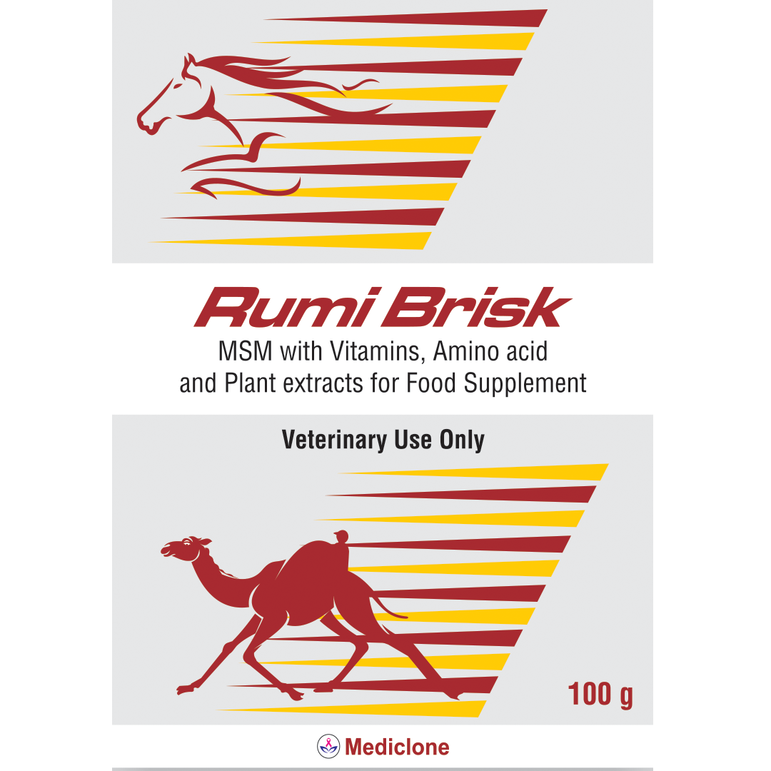 Rumibrisk